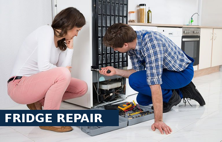 Fridge Repair Cobham